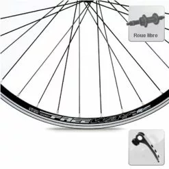 Rodi Roue Arrière De Vélo 28 Pouces à Blocage Rapide Roue Libre